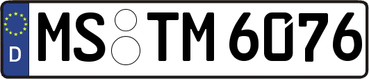 MS-TM6076