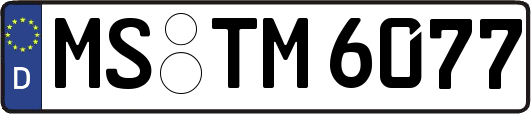 MS-TM6077