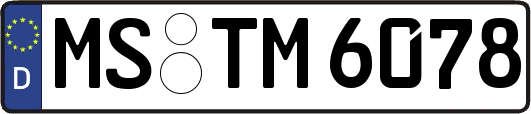 MS-TM6078