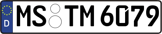MS-TM6079