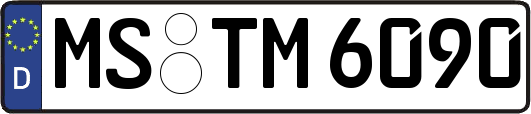 MS-TM6090