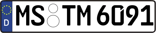 MS-TM6091