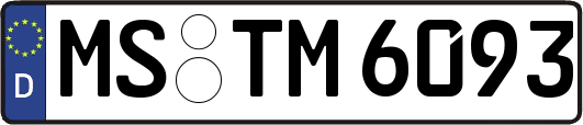 MS-TM6093