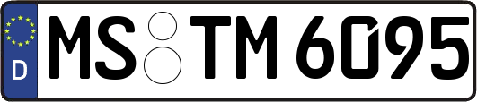 MS-TM6095