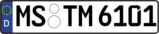 MS-TM6101