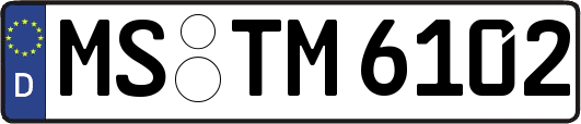 MS-TM6102