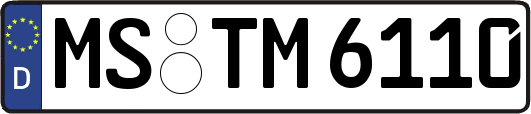 MS-TM6110