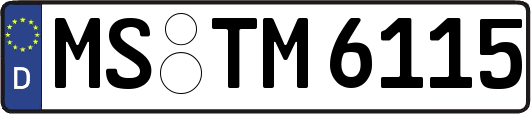 MS-TM6115
