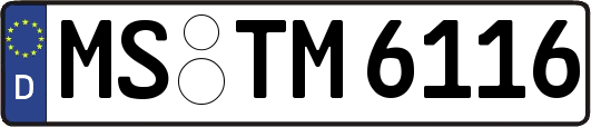 MS-TM6116