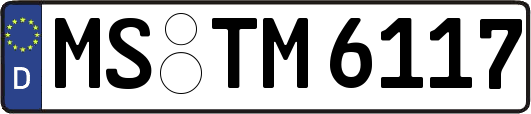 MS-TM6117