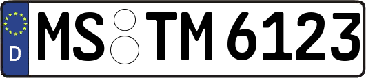 MS-TM6123