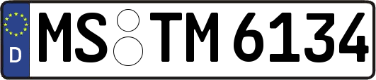 MS-TM6134