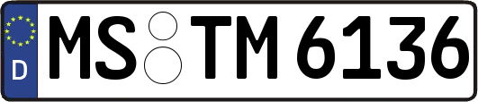 MS-TM6136