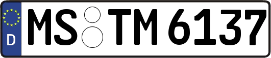 MS-TM6137