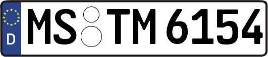 MS-TM6154