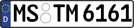 MS-TM6161