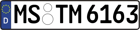 MS-TM6163