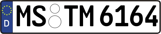 MS-TM6164