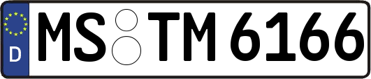 MS-TM6166