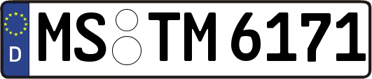 MS-TM6171