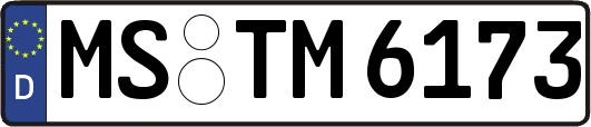 MS-TM6173