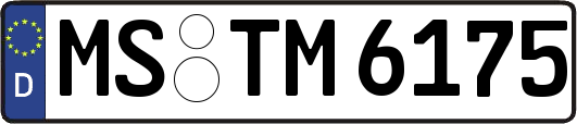 MS-TM6175