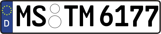 MS-TM6177