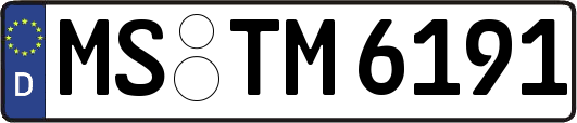 MS-TM6191