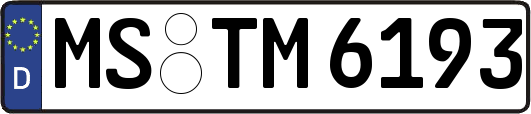 MS-TM6193