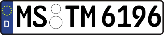 MS-TM6196