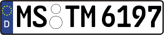 MS-TM6197
