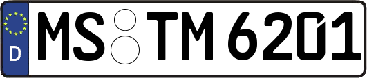 MS-TM6201
