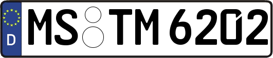 MS-TM6202