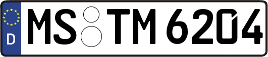 MS-TM6204