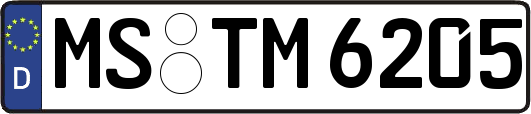 MS-TM6205