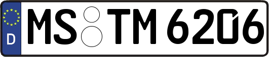 MS-TM6206