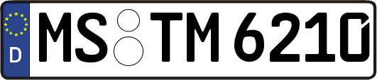 MS-TM6210