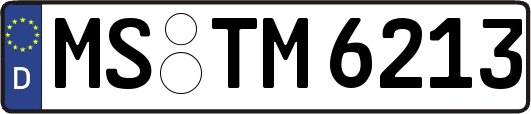 MS-TM6213
