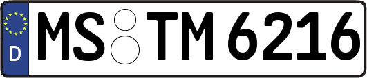 MS-TM6216