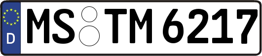MS-TM6217