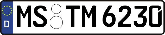 MS-TM6230