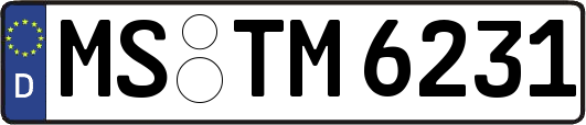 MS-TM6231