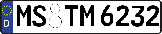 MS-TM6232