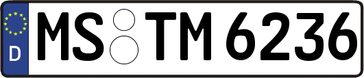 MS-TM6236