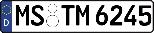 MS-TM6245