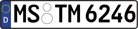 MS-TM6246