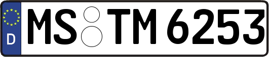 MS-TM6253