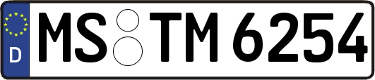 MS-TM6254