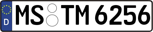 MS-TM6256