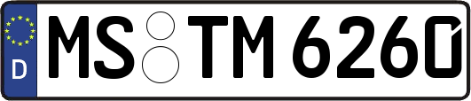 MS-TM6260